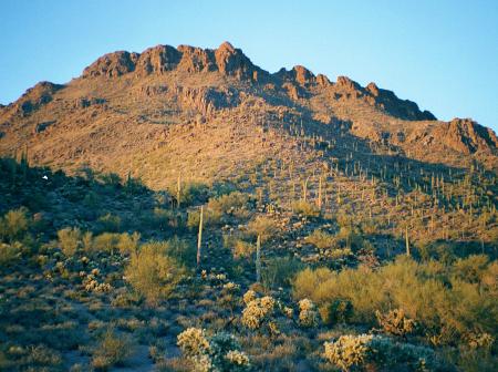 [Tucson Mountains Sunset]